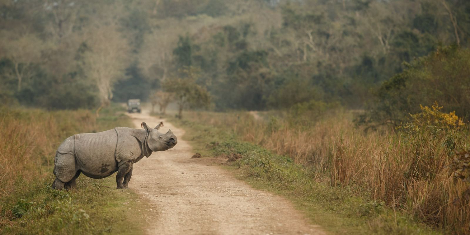 Driving into Assam's Soul: Exploring Cultural Marvels with Best Chauffeur